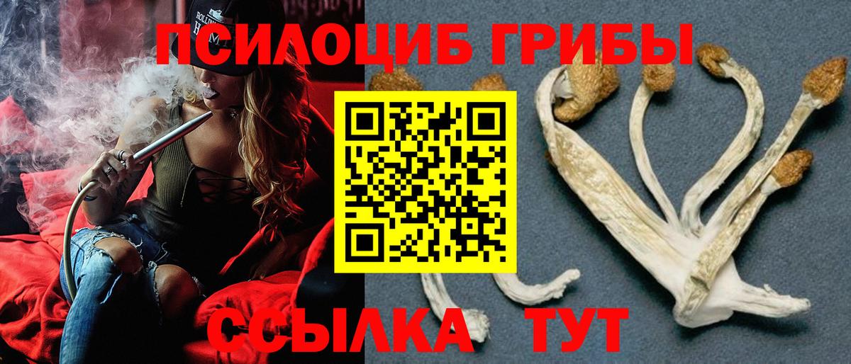Зима  Псилоцибиновые грибы MAGIC MUSHROOMS  Вход с VPN  Псилоцибиновые грибы Psilocybe 
