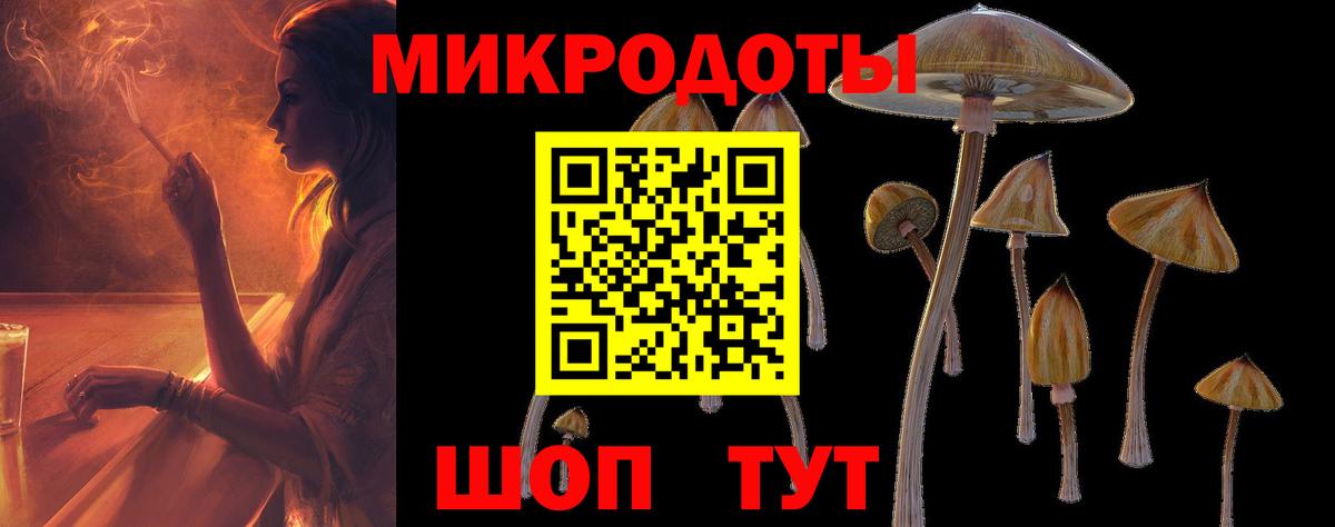 Псилоцибиновые грибы Cubensis Зима